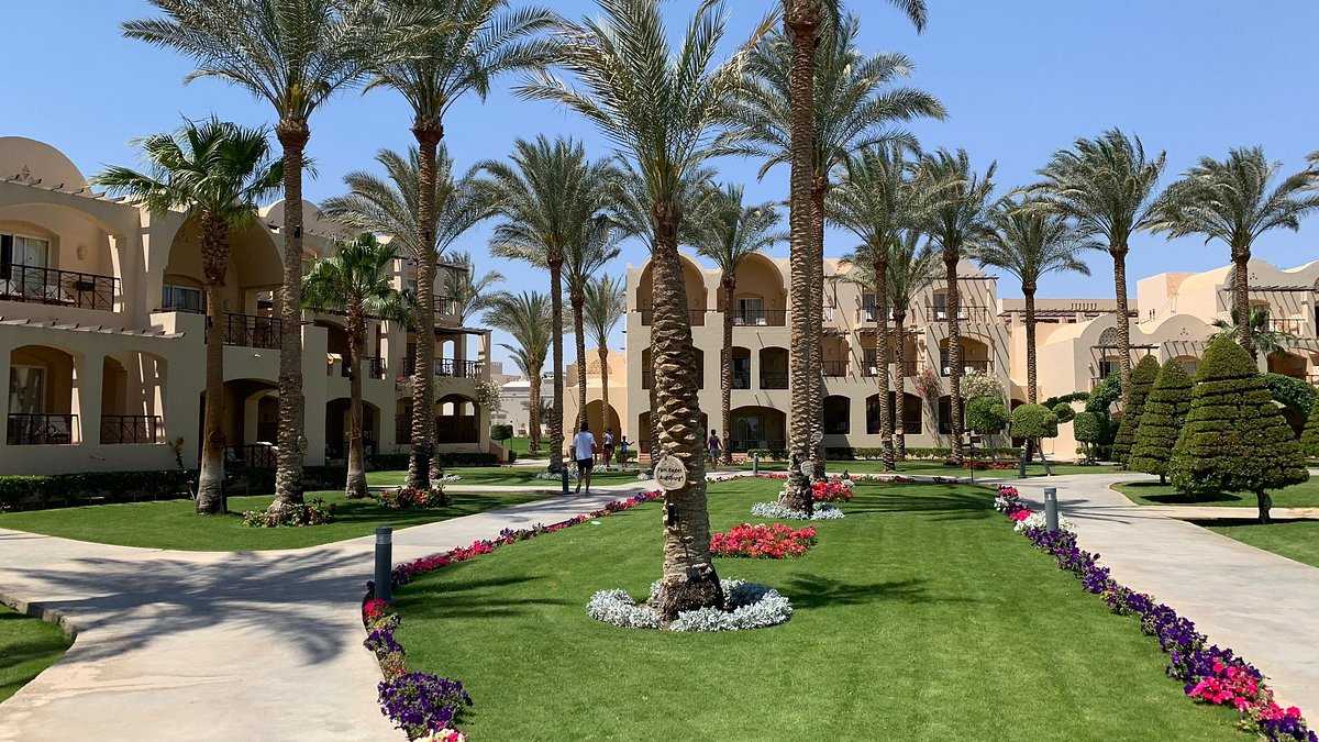 отель Jaz Makadina 5*, Макади Бей, Египет