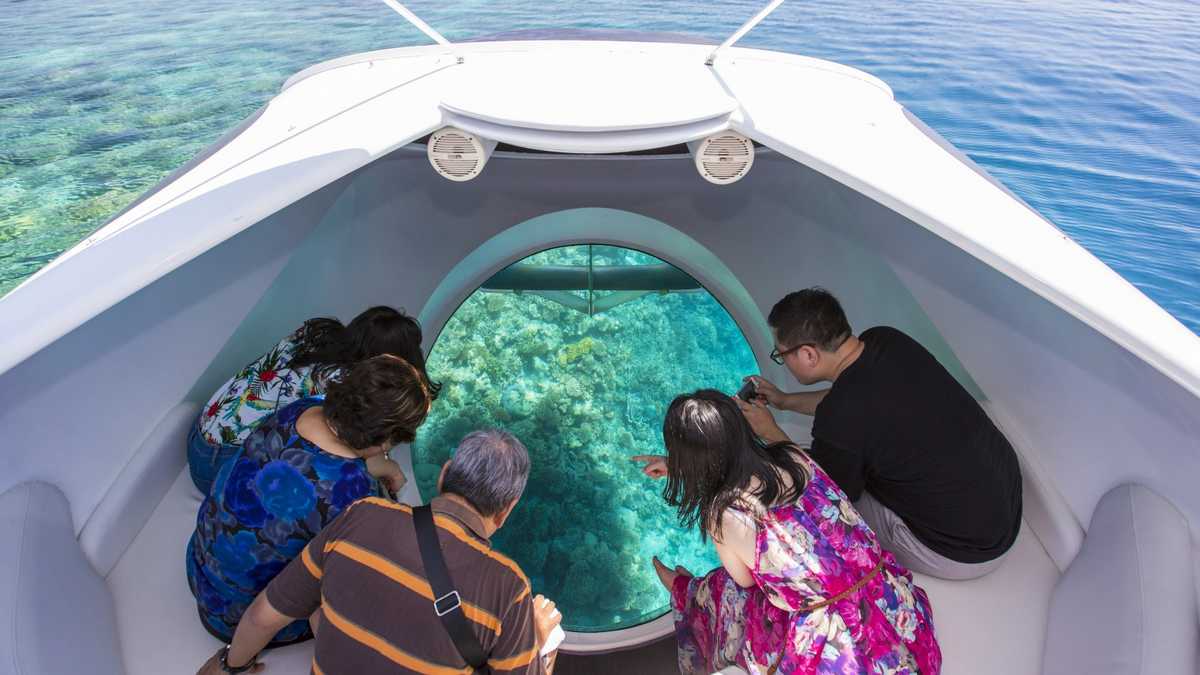 Экскурсия-прогулка на катере с прозрачным дном на Мальдивах