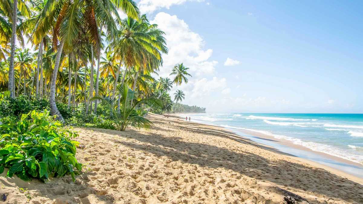 туры на отдых в Доминикане все включено