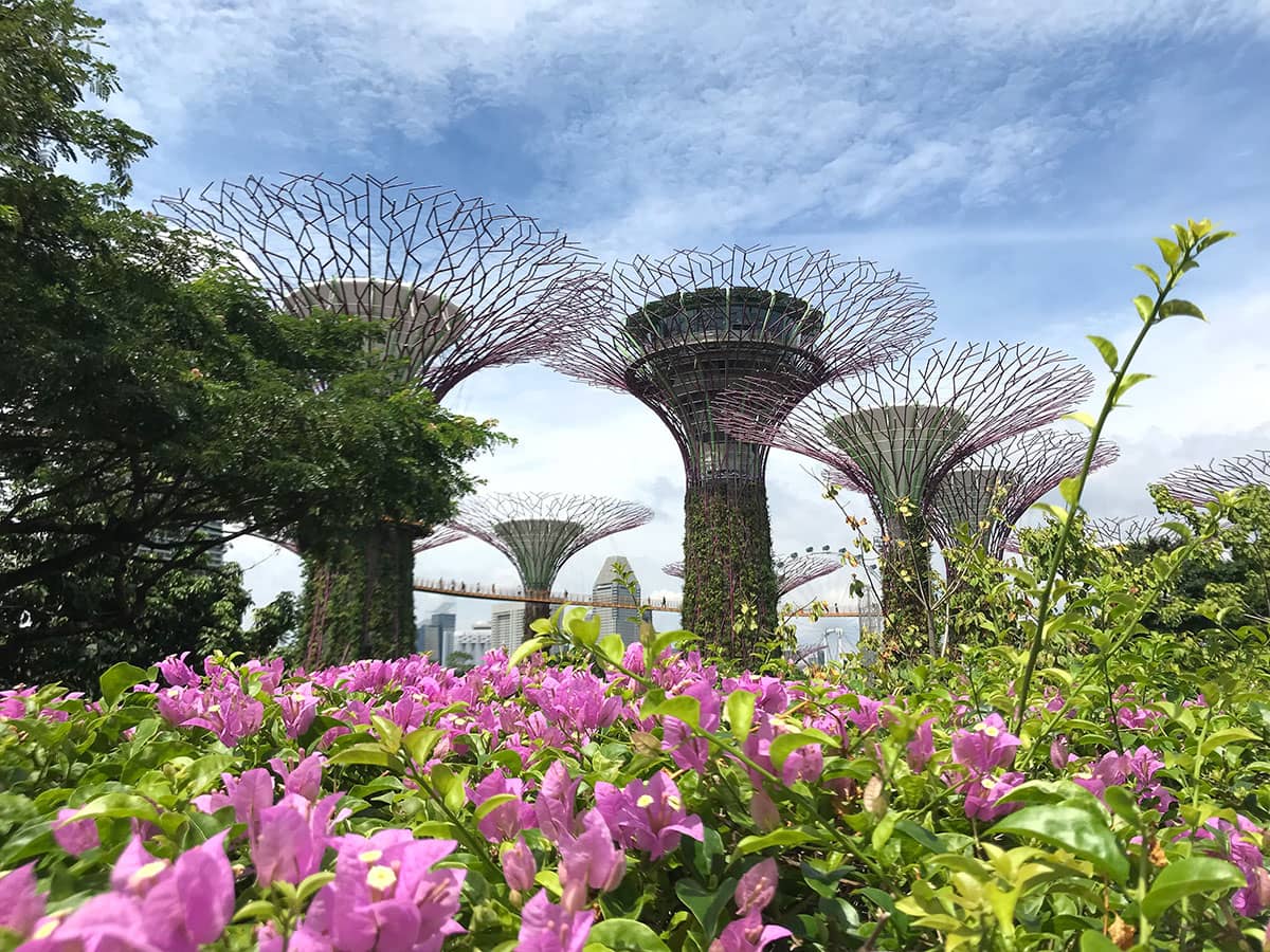 В Сингапур нужна виза 