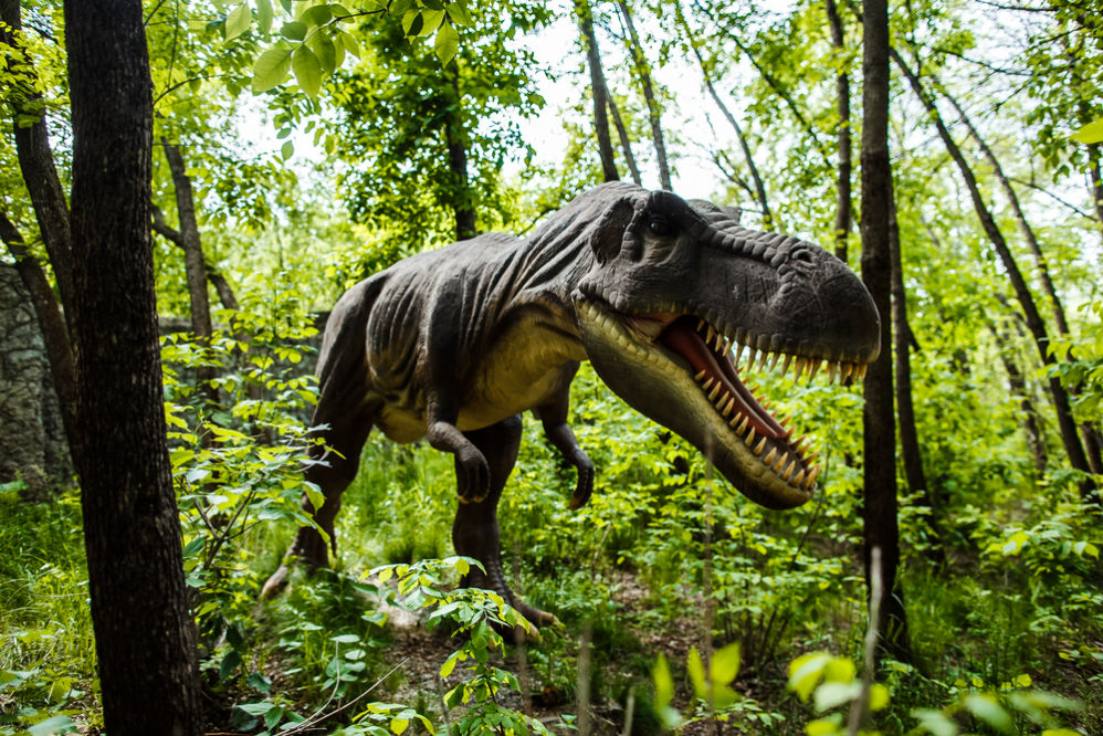 Фото: Парк динозавров
